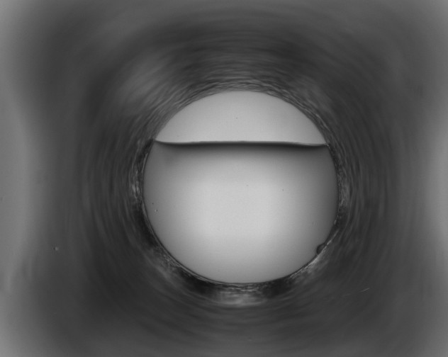 X0000086760179200704130822