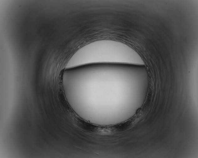 X0000086760181200704130822