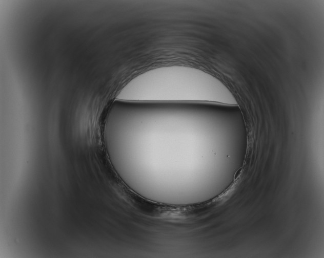 X0000086760182200704130822