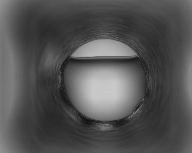 X0000086760183200704130822
