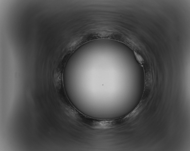 X0000086760184200704130822
