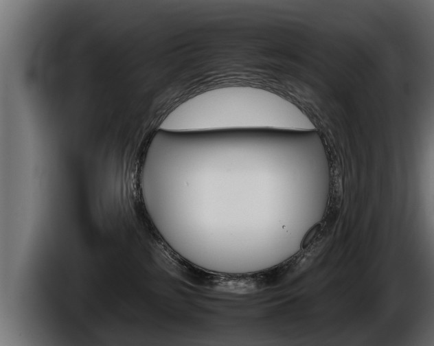 X0000086760185200704130822