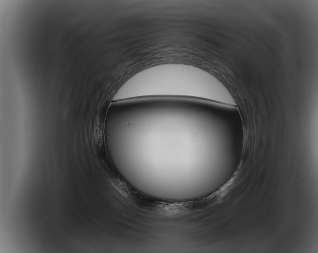 X0000086760186200704130822