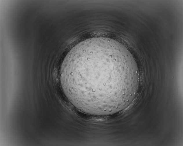 X0000086760187200704130822