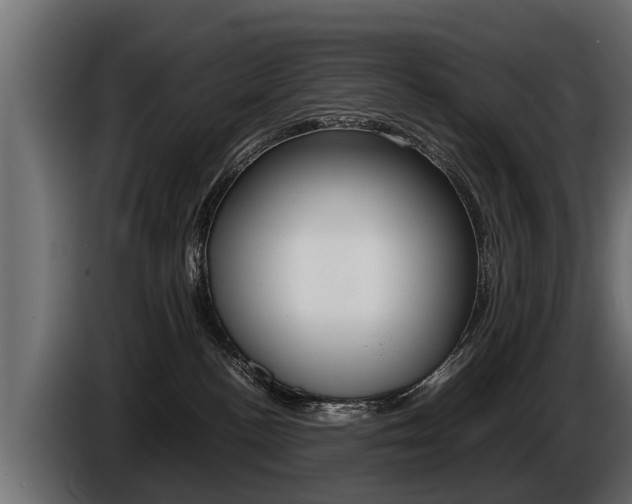 X0000086760188200704130822