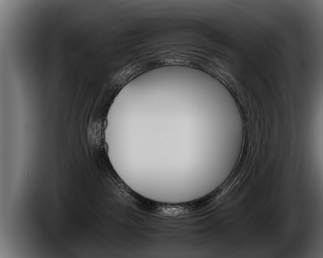 X0000086760189200704130822