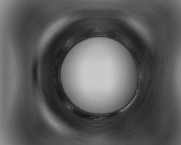 X0000086760191200704130822