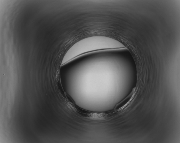X0000086760192200704130822