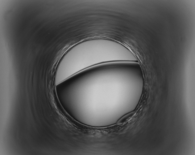 X0000086760193200704130822