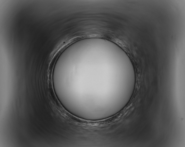X0000086760194200704130822
