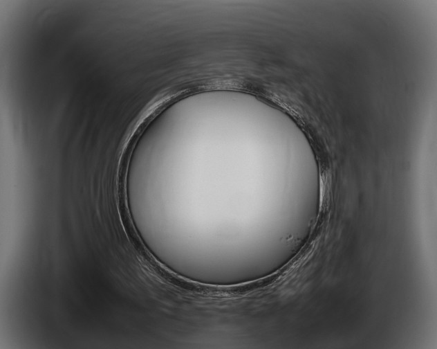 X0000086760195200704130822