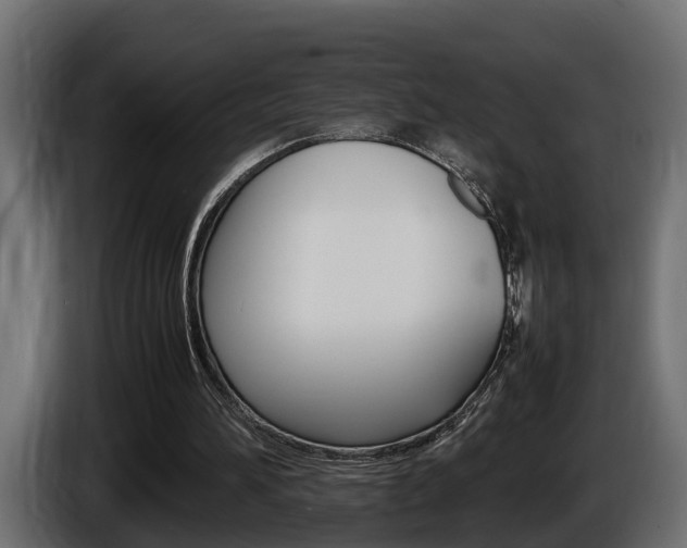 X0000086760196200704130822