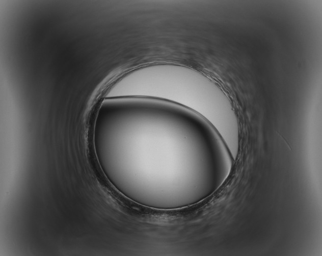 X0000086760197200704130822