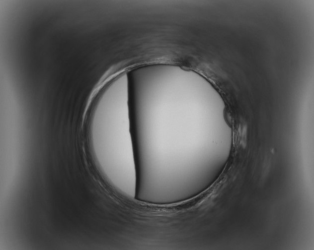 X0000086760198200704130822