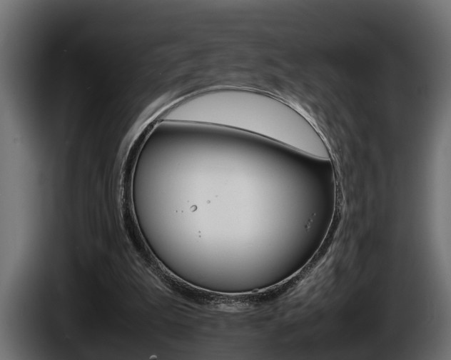 X0000086760199200704130822