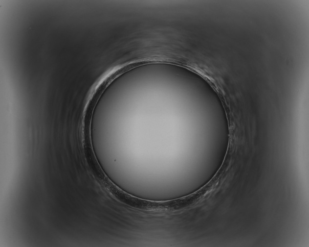 X0000086760200200704130822