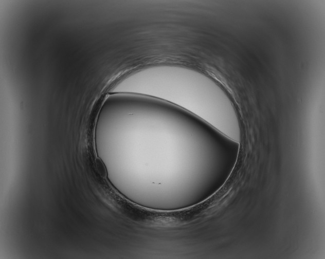 X0000086760203200704130822