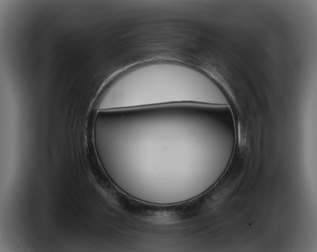 X0000086760204200704130822