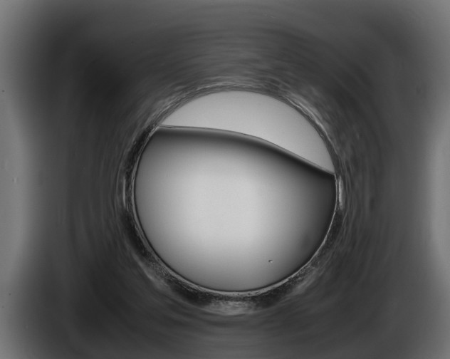 X0000086760205200704130822