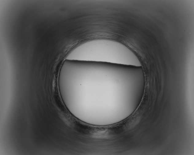 X0000086760206200704130822