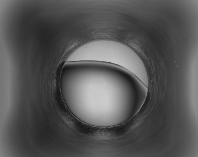 X0000086760207200704130822