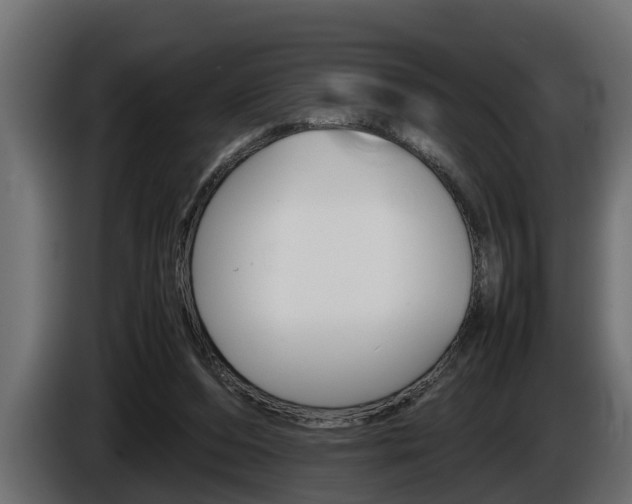 X0000086760208200704130822