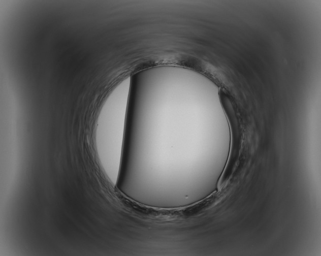 X0000086760209200704130822