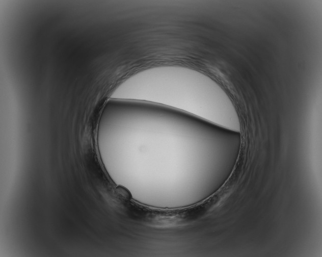 X0000086760213200704130822