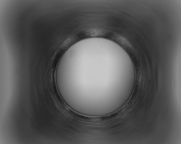 X0000086760214200704130821