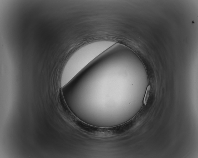 X0000086760215200704130821