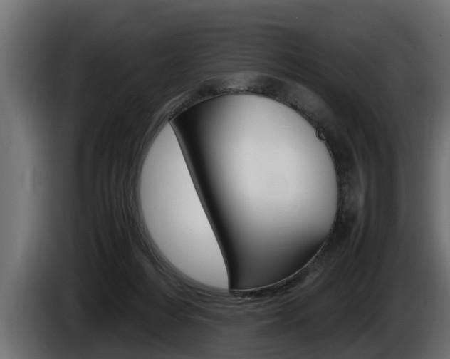 X0000086760216200704130821