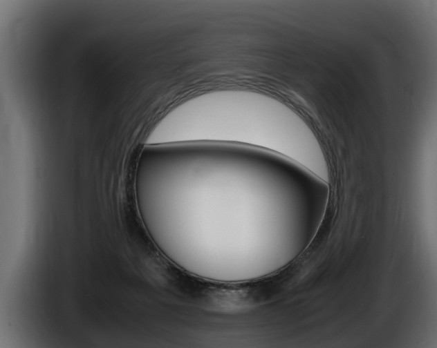 X0000086760217200704130821