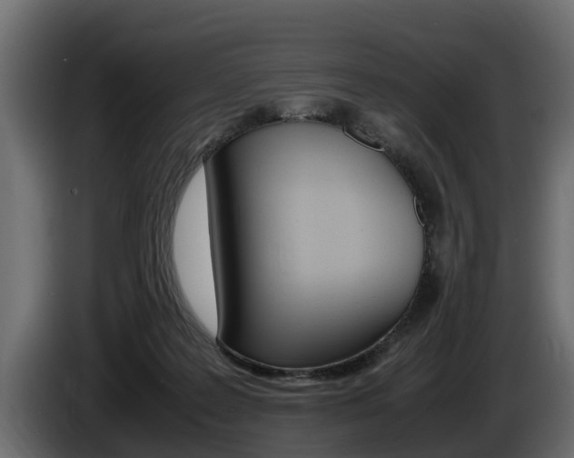 X0000086760219200704130821
