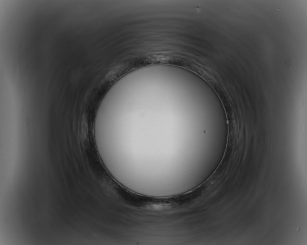 X0000086760220200704130821