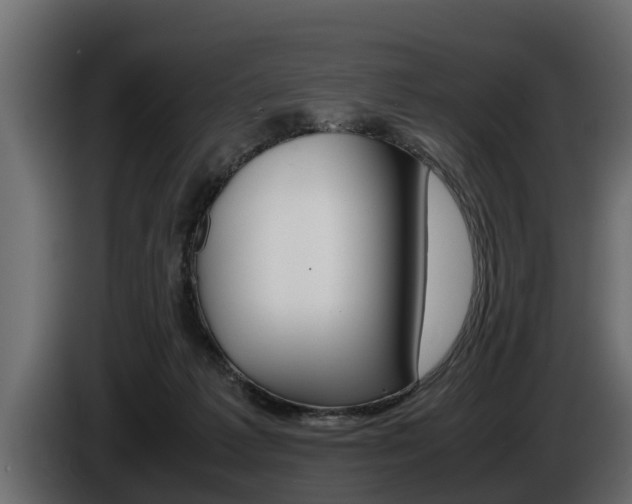 X0000086760221200704130821
