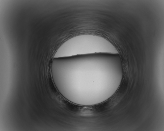 X0000086760222200704130821