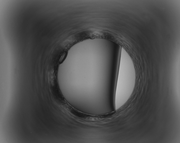 X0000086760223200704130821