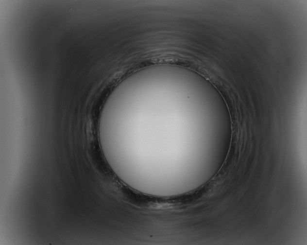 X0000086760224200704130821