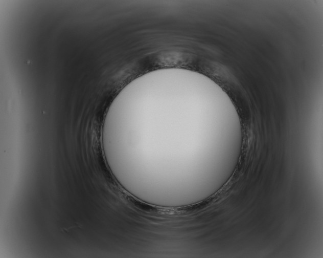 X0000086760226200704130821