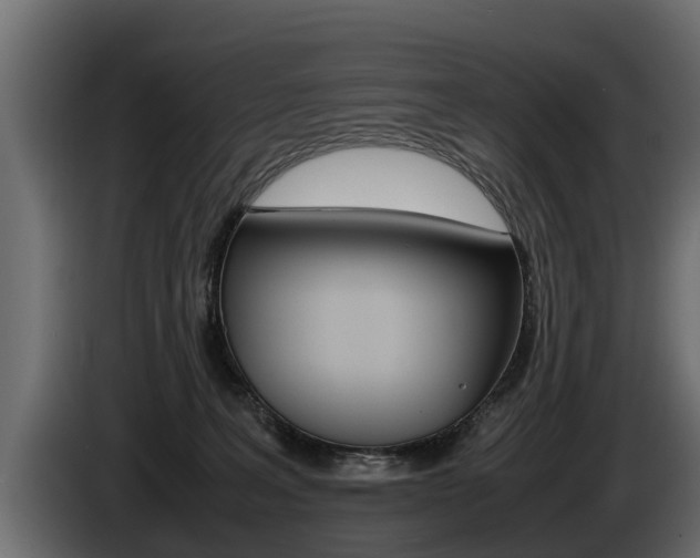 X0000086760227200704130821