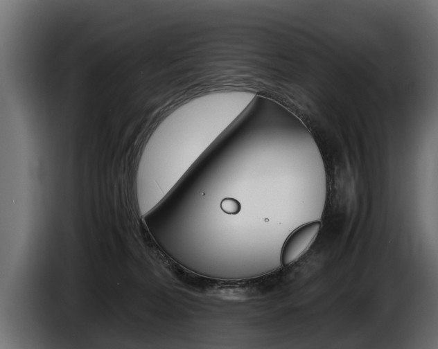 X0000086760228200704130821