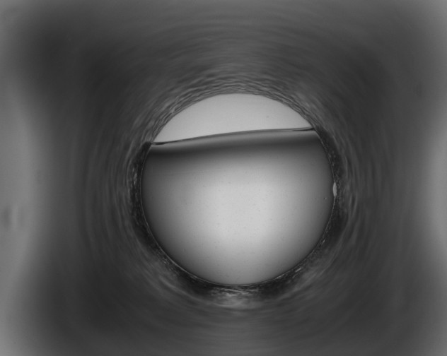 X0000086760229200704130821