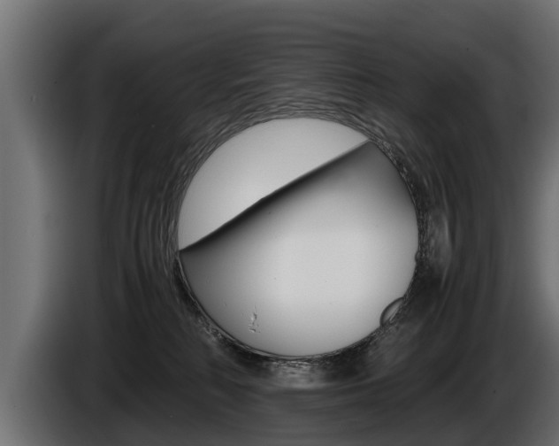 X0000086760230200704130821