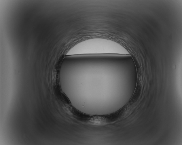 X0000086760231200704130821
