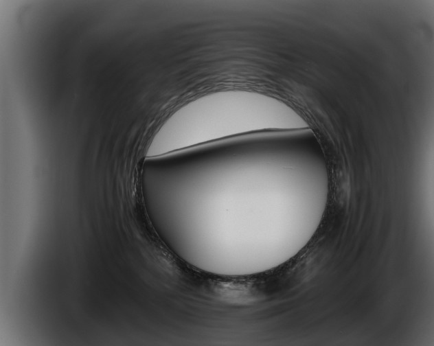 X0000086760232200704130821