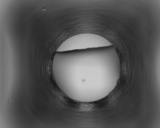 X0000086760234200704130821