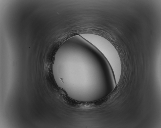 X0000086760235200704130821
