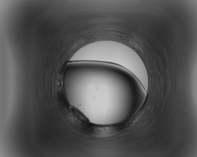 X0000086760237200704130821