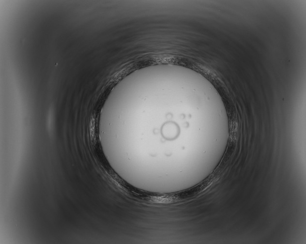 X0000086760238200704130821