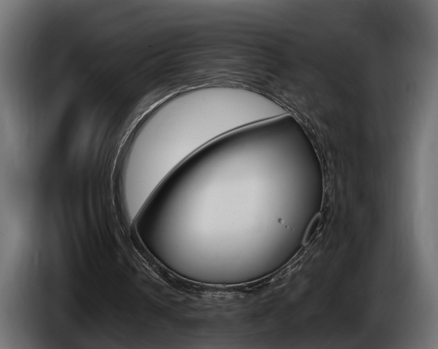 X0000086760242200704130820